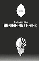 Télécharger le livre :  Bleach - T25 - Chapitre 222
