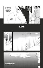 Télécharger le livre :  Bleach - T27 - Chapitre 241