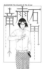 Télécharger le livre :  Bleach - T28 - Chapitre 243