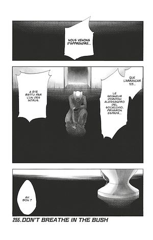 Téléchargez le livre :  Bleach - T29 - Chapitre 255