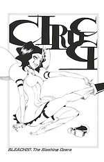 Télécharger le livre :  Bleach - T29 - Chapitre 257