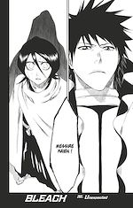 Télécharger le livre :  Bleach - T30 - Chapitre 263