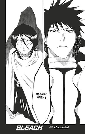 Téléchargez le livre :  Bleach - T30 - Chapitre 263