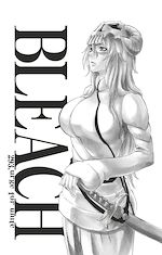 Télécharger le livre :  Bleach - T33 - Chapitre 293