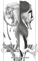Télécharger le livre :  Bleach - T34 - Chapitre 304