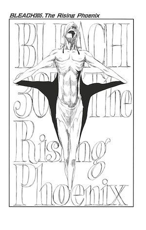 Téléchargez le livre :  Bleach - T34 - Chapitre 305