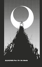 Télécharger le livre :  Bleach - T35 - Chapitre 309