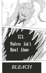 Télécharger le livre :  Bleach - T43 - Chapitre 373