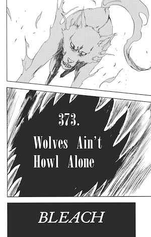 Téléchargez le livre :  Bleach - T43 - Chapitre 373