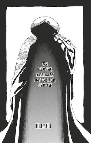 Téléchargez le livre :  Bleach - T43 - Chapitre 374