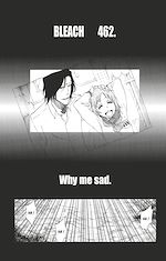 Télécharger le livre :  Bleach - T53 - Chapitre 462