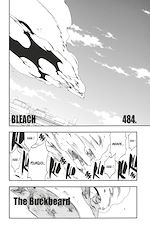 Télécharger le livre :  Bleach - T55 - Chapitre 484