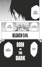 Télécharger le livre :  Bleach - T58 - Chapitre 514