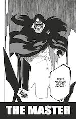 Télécharger le livre :  Bleach - T67 - Chapitre 607