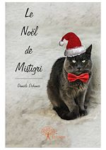 Télécharger le livre :  Le Noël de Mistigri