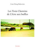Télécharger le livre :  Les Trois Chemins de L'Aire aux buffles