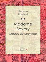 Télécharger le livre :  Madame Bovary