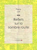 Télécharger le livre :  Reflets sur la sombre route
