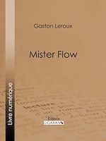 Télécharger le livre :  Mister Flow