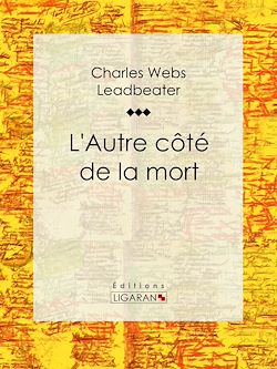 Télécharger le livre :  L'Autre côté de la mort