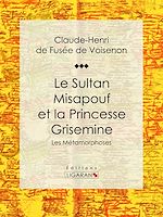 Download this eBook Le Sultan Misapouf et la Princesse Grisemine