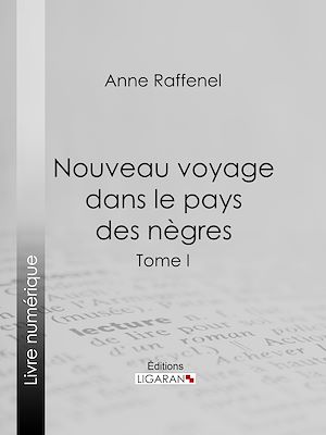 Téléchargez le livre :  Nouveau voyage dans le pays des nègres