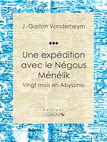 Télécharger le livre :  Une expédition avec le Négous Ménélik