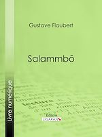 Télécharger le livre :  Salammbô