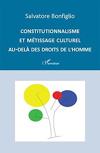 Télécharger le livre :  Constitutionnalisme et métissage culturel au-delà des droits de l'Homme