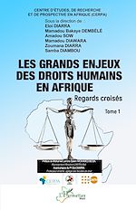 Télécharger le livre :  Les grands enjeux des droits humains en Afrique