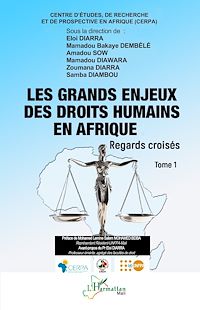Télécharger le livre : Les grands enjeux des droits humains en Afrique