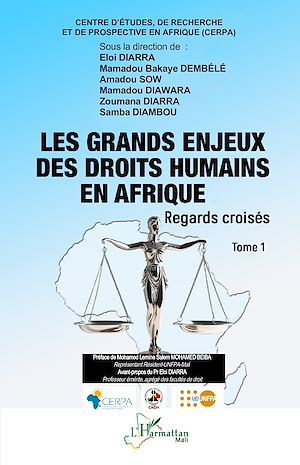 Téléchargez le livre :  Les grands enjeux des droits humains en Afrique