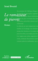 Télécharger le livre :  Le ramasseur de pierres