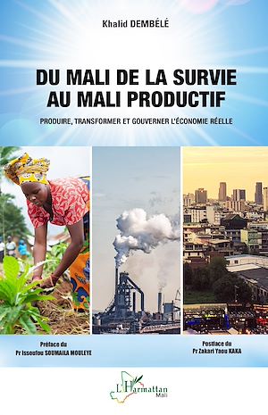 Téléchargez le livre :  Du Mali de la survie au Mali productif