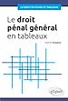 Télécharger le livre :  Le droit pénal général en fiches et en tableaux