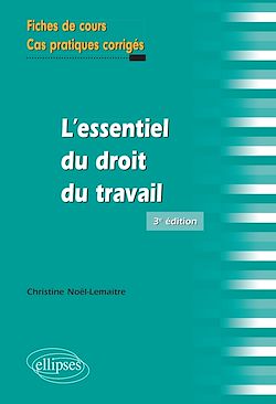 Télécharger le livre :  L'essentiel du droit du travail, 3e édition