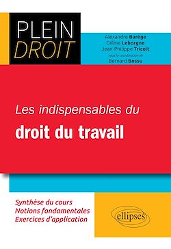 Télécharger le livre :  Les indispensables du droit du travail