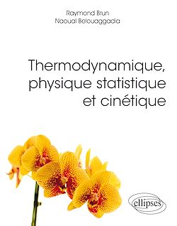 Télécharger le livre :  Thermodynamique, physique statistique et cinétique