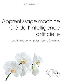Télécharger le livre :  Apprentissage machine - Clé de l'intelligence artificielle - Une introduction pour non-spécialistes