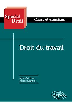 Télécharger le livre :  Droit du travail