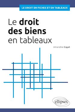 Télécharger le livre :  Le Droit des biens en tableaux