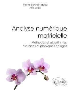 Télécharger le livre :  Analyse numérique matricielle - Méthodes et algorithmes, exercices et problèmes corrigés