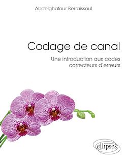 Télécharger le livre :  Codage de canal : une introduction aux codes correcteurs d'erreurs