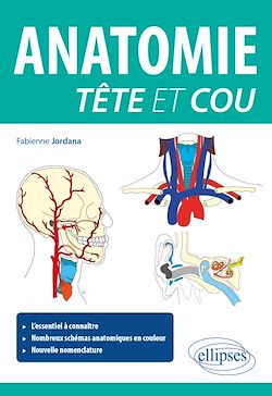 Télécharger le livre :  Anatomie tête et cou