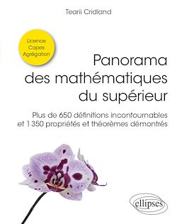 Télécharger le livre :  Panorama des mathématiques du supérieur