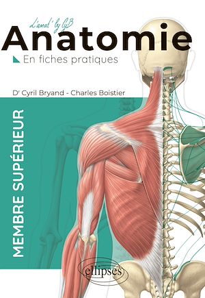 Téléchargez le livre :  L'anatomie en fiches - Membre supérieur