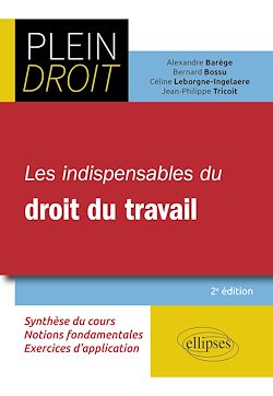 Télécharger le livre :  Les indispensables du droit du travail