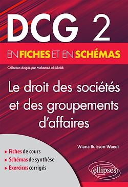 Télécharger le livre :  DCG 2 - Le droit des sociétés et des groupements d'affaires en fiches et en schémas