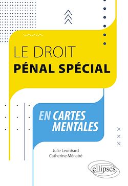 Télécharger le livre :  Le droit pénal spécial en cartes mentales