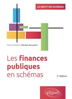 Télécharger le livre :  Les finances publiques en schémas